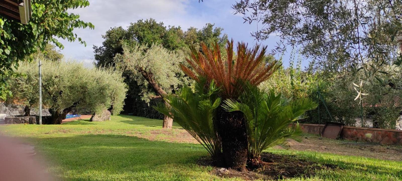 Ragalna Villa Hephaestus Etna - With Private Pool מראה חיצוני תמונה